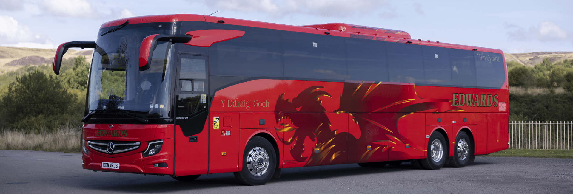 Red Dragon Team Coach