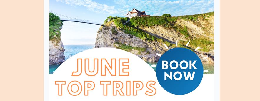 June’s Top Trips ☀️