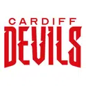 Cardiff Devils Edwards Coaches